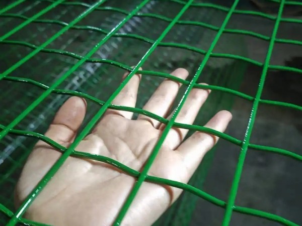 安阳荷兰网
